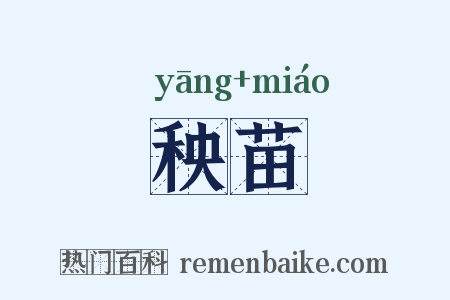 秧苗是什么意思的图片